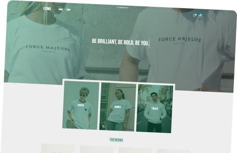 Fizmo (Eigen Project)